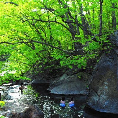 松川渓谷温泉 信州高山村観光協会 信州高山村観光協会